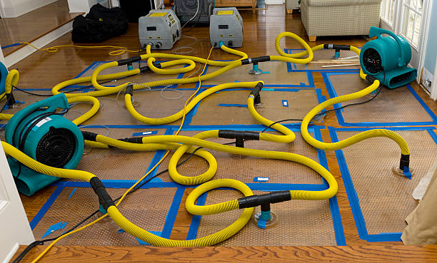Professional Burst Pipe Water Damage technician working in Atwood, IL